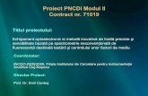 Proiect PNCDI Modul II Contract nr. 71019 fileRealizarea la nivel interna ţ ional a primului sistem optoelectronic modular bazat pe tor ţ a cu plasm ă cuplat ă capacitiv de mic