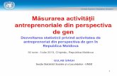 Dezvoltarea statisticii privind activitatea de ... · 1 Măsurarea activității antreprenoriale din perspectiva de gen Dezvoltarea statisticii privind activitatea de antreprenoriat