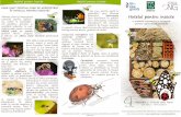 ecoedu.roecoedu.ro/wp-content/uploads/2016/01/RO-Pliant.pdf · sunt folositoare în grãdini prin distrugerea insectelor dãunãtoare. Ele consumã pãduchi de frunze, acarieni cosenile.