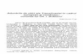 Adunările de stări ale Transilvaniei în cadrul european şi ...dspace.bcucluj.ro/bitstream/123456789/48118/1/Pop+Ioan+Aurel-Adunarile...Adunările de stări ale Transilvaniei în