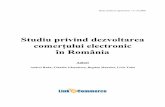 Studiu privind dezvoltarea comerţului electronic în Româniaizzisale.ro/Studiu-eCommerce-ANC.pdf · comerţ electronic era asimilată unui canal de marketing suplimentar, deseori