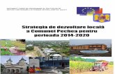 Strategia de dezvoltare locală - pecheagalati.ro · la nivelul Uniunii Europene, care trăieşte în regiunile cele mai dinamice, generează de opt ori mai multe venituri în termeni