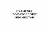 EXAMENUL SOMATOSCOPIC SEGMENTAR - fefsoradea.ro · Examenul din faţă. • 1 –1,5 m în faţa examinatorului • sursa de lumină înapoia examinatorului • Subiectul cu călcîiele