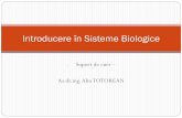 Introducere în Sisteme Biologice - mec.upt.ro biologice curs format... · 1. Notiuni generale despre teoria sistemelor Conexiunile pot fi: între elementele componente ale sistemului,