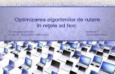 Optimizarea algoritmilor de rutare în reţele ad hocstst.elia.pub.ro/PS/2012/PS_2012vara/BalanescuDiana/Prezentare_licenta... · Agendă •Reţele ad hoc. Caracteristici, Aplicaţii,