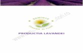 PRODUCTIA LAVANDEI - semintelegumeflori.ro v1..pdf · altitudinea, deoarece florile plantelor sunt mai numeroase in conditii de vreme racoroasa. Deoarece sunt atat de multe si variate