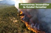 Prevenirea incendiilor la fondul forestier · •Fondul forestier al României cuprinde 6,37 milioane ha (un sfert din suprafaţa ţării), din care 4,2 milioane ha se află în proprietatea