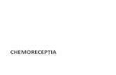 CHEMORECEPȚIA - Fiziologiefiziologie.ro/didactic/2016-2017/cursuri/s1c7 SENSIBILITATE SI DURERE2016.pdf · canalele voltaj dependente determina eliberarea de mediator in fanta sinaptica