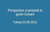 Perspective si proiectii la gurile Dunarii - cpmr.org · precum si Delta Dunarii, un ecosistem unic de importanta internationala. În ceea ce priveste parcursul Dunarii în România,