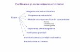Purificarea și caracterizarea enzimelor · Purificarea și caracterizarea enzimelor Etape Alegerea sursei enzimatice Prepararea extractului Separarea cromatografica verificarea purit