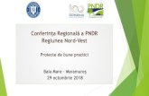 Conferința Regională a PNDR - rndr.ro · plan de afaceri pentru instalarea persoana fizica autorizata neamtiu bogdan ioan ca tanar fermier in localitatea santau, judetul satu mare.
