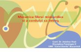 Mecanica fibrei miocardice si a cordului ca intregfiziologie.ro/didactic/2018-2019/cursuri/Proprietati_mecanice_ale_cordului_AV.pdf · Patru canale de calciu de tip L din membrana