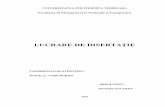 LUCRARE DE DISERTAȚIE - mpt.upt.ro · 2 Nicolae O., Metode și tehnici manageriale moderne, Ed. Tribuna Economică, 2005, p. 65. Conceptul de performanță economică 5 elementele