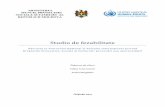 Studiu de fezabilitate - undp.org · ~ 3 ~ Mulțumiri Acest studiu a fost elaborat cu sprijinul Oficiului Națiunilor Unite al Înaltului Comisar pentru Drepturile Omului (OHCHR)