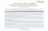 SPANIA DE NORD - lineablutravel.ro de Nord 20.05, 18.09 id24.pdf · Opera a ingineriei romane, cea mai importanta din Spania, se crede ca a fost construit in timpul imparatului Flavius,