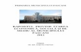 RAPORTUL PRIVIND STAREA ECONOMICĂ, SOCIALĂ ŞI DE …primariapascani.ro/primarie/wp-content/uploads/2014/04/RAPORT_PRIMAR... · creștere față de 2011 (conform datelor primite