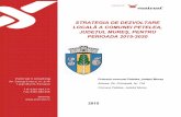 Strategia de dezvoltare locala a comunei Petelea, judetul ...primariapetelea.ro/PDF/INFORMATII PUBLICE/2016/Strategia petelea 2015... · orientativa a proiectelor strategice din regiune