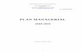 PLAN MANAGERIAL - scoalastrunga.roscoalastrunga.ro/wp-content/uploads/2018/02/Plan-managerial-2018-2019.pdf · 3 PLAN MANAGERIAL “Pentru fiecare om viaţa este o şcoală de la