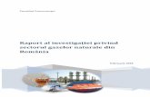 Raport al investigației privind - consiliulconcurentei.ro · GPL gaze petroliere lichefiate IAPC indicele agregat de presiune concurenţial ...