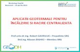 Workshop GeoDH Bucuresti – 16 aprilie 2013geodh.eu/wp-content/uploads/2013/05/GeoDH-P5-RGS-Gavriliuc-si-Zeghici... · surparea/tasarea solului sau poluarea apelor de suprafață.