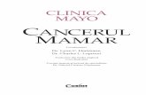 Dr. Lynn C. Hartmann Dr. Charles L. Loprinzi - cdn4.libris.ro Mayo. Cancerul mamar - Charles L... · pentru studierea cancerului mamar al acestui centru, dedicat atât cercetării