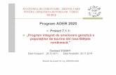 Program ADER 2020 - madr.ro · La furajare raţia zilnică a fost: 22kg porumb siloz, 3 kg fân natural şi 3 kg de concentrate, la vârs ta de 13 – 17 luni. Sporul sporul maxim