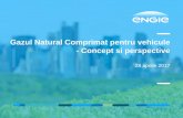 Gazul Natural Comprimat pentru vehicule - Concept si ... · Capitolul 4 Context local şi intenţii ... și alimentare lentă (time-fill – durate alimentare mari recomandate vehiculelor