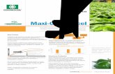 Maxi-Grow Excel - agrimatco.ro · Cultura Momentul aplicarii Lucerna 500 Dupa fiecare coasa, cand planta are intre 10 si 15 cm inaltime. 600 1. Inainte de inflorit Grame / litru 1.