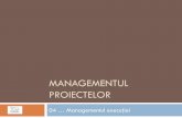Managementul proiectelor - ael.utcluj.ro · IV. Managementul execuției Rolul managerului de proiect la punera în aplicare a proiectului managerul trebuie să se asigure că proiectul