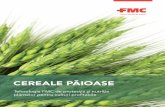 CEREALE PĂIOASE - fmcagro.ro · plantelor pentru culturi profitabile. 1 tehnologia fmc pentru controlul bolilor, dĂunĂtorilor Şi buruienilor din cultura de cereale 2 tehnologia