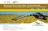 Biocarburant din Camelină - terramileniultrei.roterramileniultrei.ro/wp-content/uploads/2016/04/Brosura-Biocarburant... · Există în prezent două căi principale pentru obținerea