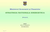 Ministerul Economiei şi Finantelor - OPCOM MEF... · energiei electrice si ale Directivei 2003/55/CE privind regulile comune ale pietii interne a gazului natural şi ale Directivei