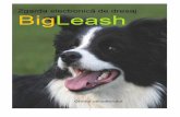 Zgarda Electronică de Dresaj - dogwatch.ro · Zgarda de dresaj BigLeash se poate folosi până la 800m în condiții optime. Distanța va varia în funcție de Distanța va varia