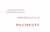 SOCIETATEA COMERCIALA - anteco.ro filereprezentate de activitatea de fabricare de mobila – cod CAEN 3109, (care generează practic valoarea adăugată pentru societate şi contribuie