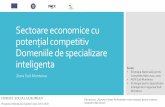Sectoare economice cu potențial competitiv Domeniile de ... · Existenta uzinelor Dacia-Renault în județul Argeș și implicit a unei puternice industrii auto în această zonă,
