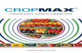 natural plant nutrient supplement - hollandfarming.com · Produit novateur dans le système d’alimentation de la plante Aminoacizii - În compozit¸ ia produsului Cropmax sunt inclus¸