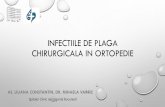 Infectiile de plaga chirurgicala in ortopedie - spcin.ro · fisa bloc operator ortopedie protezare sold dr. apostolescu robert dyyyyyyyyyyyyxx ^ d/yyyyyyyyyyyy proteza totala sold