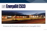Proiecte de Eficienţă energetică prin EnergoBit ESCOarpee.org.ro/wp-content/uploads/2014/06/WSS2_FOREN_2014_EnergoBIT.pdf · Centrala cu cazan de abur LOOS model ZFR 35 t/h, 12
