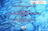 CURS DE MICROBIOLOGIE CLINIC Vol. I - umft.ro · 2.1. ROLUL BARIEREI CUTANEO-MUCOASE ÎN APĂRAREA ANTIINFECŢIOASĂ Continuitatea şi integritatea anatomică a tegumentului sunt