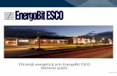 Eficienţă energetică prin EnergoBit ESCO Domeniu public · energie primara, precum și ... 2 surse de back-up față de rețea) • Utilizarea unui mix de soluții energetice eficiente.