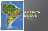 America de sud - docshare01.docshare.tipsdocshare01.docshare.tips/files/26296/262967040.pdf · Populația Concentrată în zona litorală Megalopolisul brazilian Estuarul La Plata