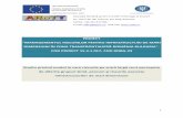 DIMENSIUNI ÎN ZONA TRANSFRONTALIERĂ ROMÂNIA …robg-riskmanagement.eu/wp-content/uploads/2016/09/ARoTT_Studiu-riscuri-LSI.pdf · asupra acestor riscuri și să gestioneze eficient