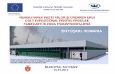 Proiect Uniunea Europeană REABILITAREA PIEŢEI VIILOR ŞI ... · Proiect realizat în cadrul Programului Operaţional Comun România -Ucraina-Republica Moldova 2007- 2013, finanţat