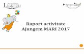 Raport activitate Ajungem MARI 2017 · Bucuresti+tara - materiale, coordonator si specialist proiect) Sponsorizare HP Ink Foundation (fonduri proiect vizite de orientare profesionala