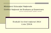 Ministerul Educaţiei Naţionale ţional de Evaluare şi Examinareisjgorj.ro/wp-content/uploads/2014/09/rezultate-statistice-examene... · Evaluări la nivel naţional 2014 Livia