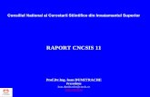 RAPORT CNCSIS 11 - uefiscdi.gov.ro CNCSIS/11/prezentare... · artistica, finantate din bugetul de stat - tip A 1995 Proiectul de Reforma a Invatamantului Superior si Cercetarii RO
