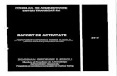 RAPORT DE ACTIVITATE - new.transgaz.ronew.transgaz.ro/sites/default/files/raport_de_activitate_bogdan_iliescu.pdf · CONSILIUL DE ADMINISTRAJIE SNTGN TRANSGAZ SA RAPORT DE ACTIVITATE