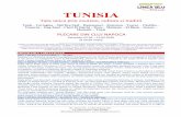 TUNISIA - lineablutravel.ro 7.05.2019 id24.pdf · Peisajul asemanator cu cel lunar a fost folosit si el ca platou de filmare, pentru Star Wars dar si pentru alte filme. De la distanta
