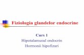 Hipotalamusul endocrin Hormonii hipofizari - justmed.eu · 2004 Carmen Bunu. 1. Hipotalamusul endocrin Hipotalamusul este o zonă integrativă importantă pentru funcţia endocrină,