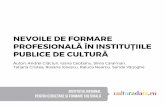 NEVOILE DE FORMARE PROFESIONALĂ ÎN ... - culturadata.ro · analizat nevoile de formare ale instituțiilor independente care activează în domeniul culturii. Concluziile acestui